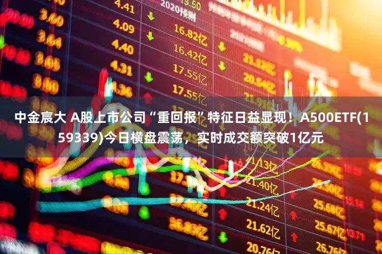 中金宸大 A股上市公司“重回报”特征日益显现！A500ETF(159339)今日横盘震荡，实时成交额突破1亿元