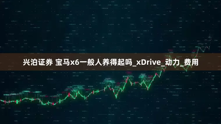 兴泊证券 宝马x6一般人养得起吗_xDrive_动力_费用
